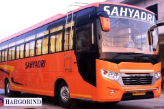 Deluxe Bus Coach Builder (10)